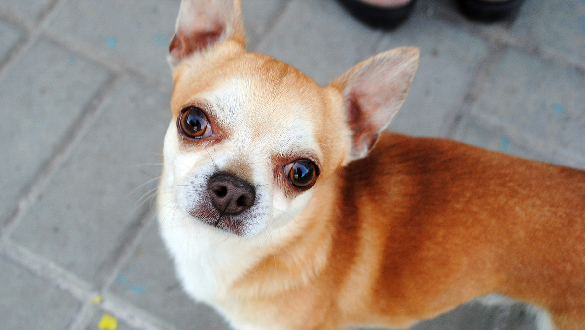    Фото: Сергей Егоров