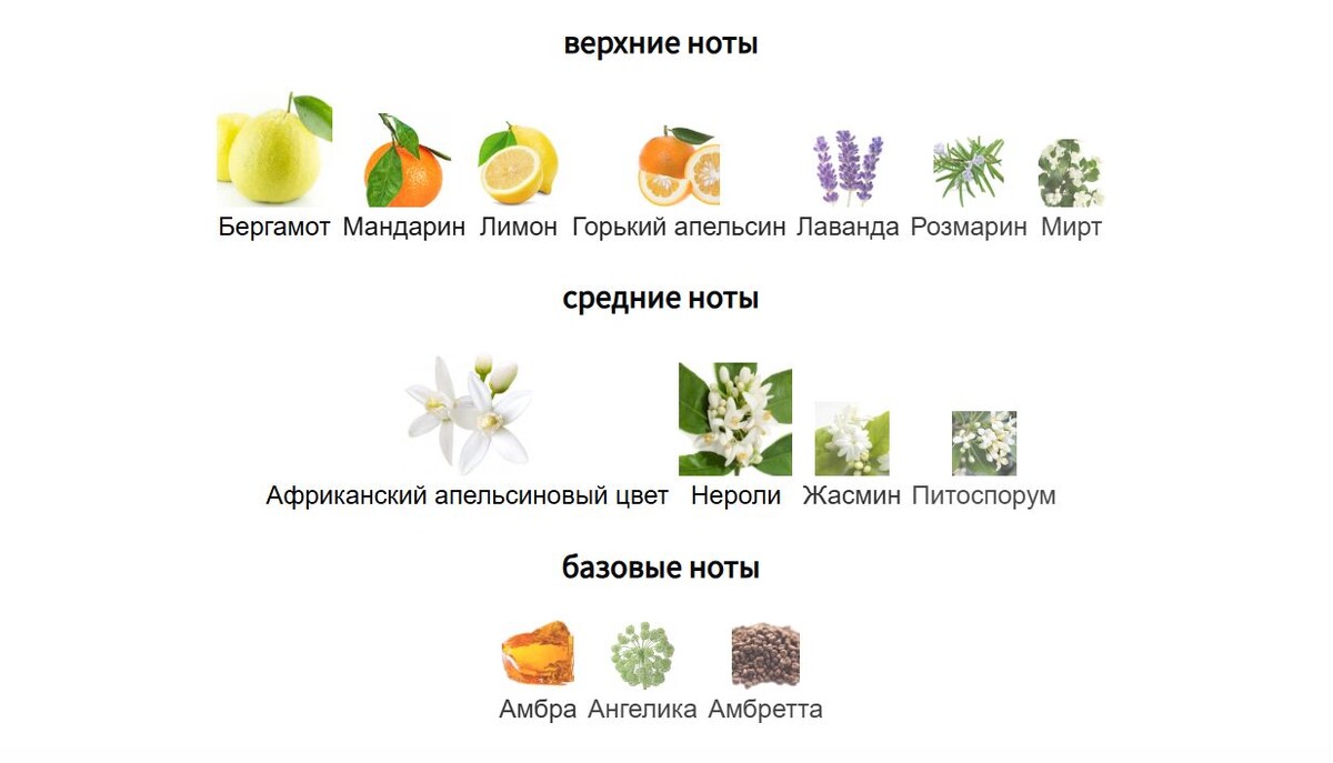 fragrantica.ru