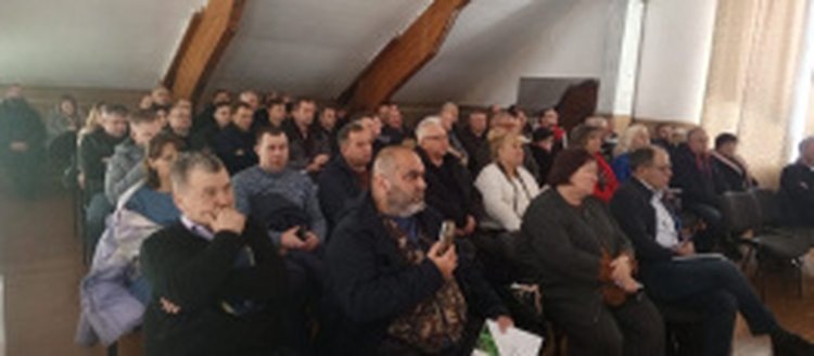    Антракноз - новый бич картофелеводства