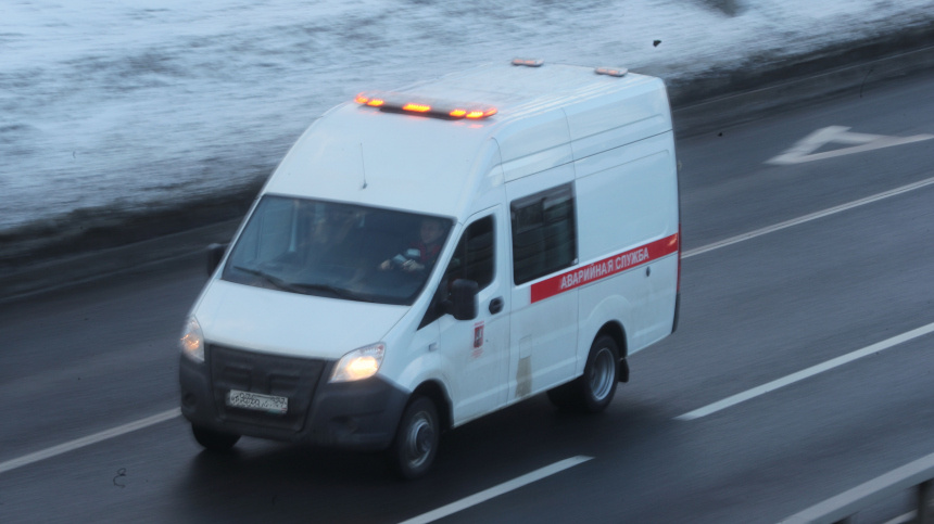    Фото: ИЗВЕСТИЯ/Андрей Эрштрем