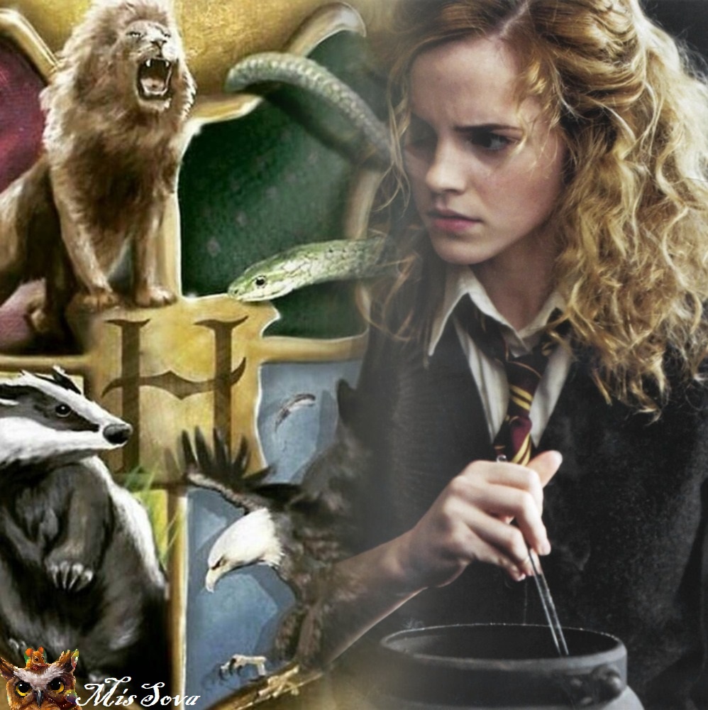 Гермиона, конечно, классная, но не всегда. Коллаж автора