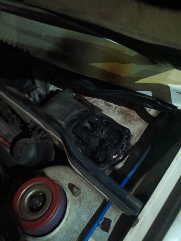    В Кирове кинолог спас машину незнакомца от огня