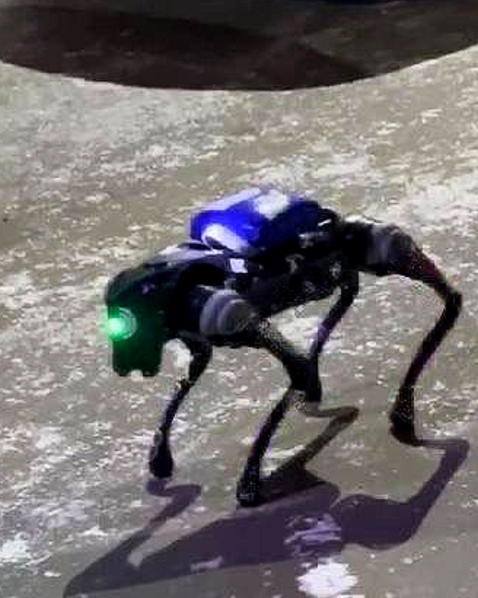 Бионический робот-пёс на улице