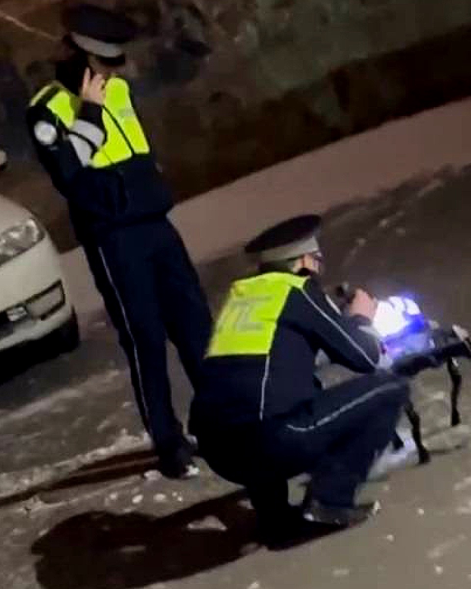 Сотрудники ДПС задерживают робопса