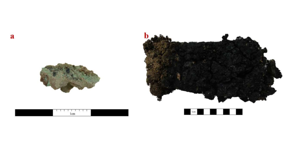   Heiling Zheng et al. / Scientific Reports, 2024