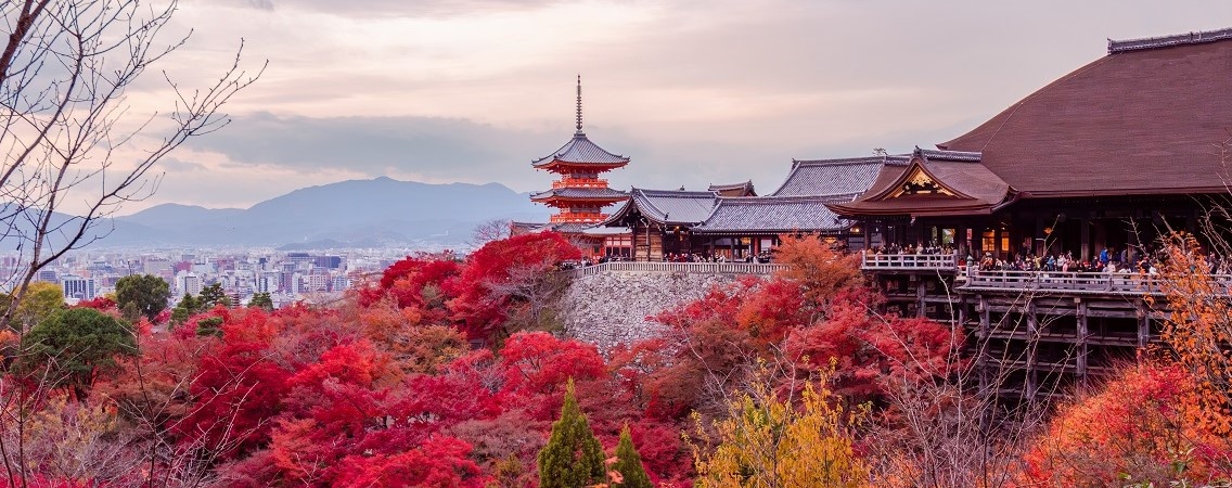 @Pinglabel/Shutterstock