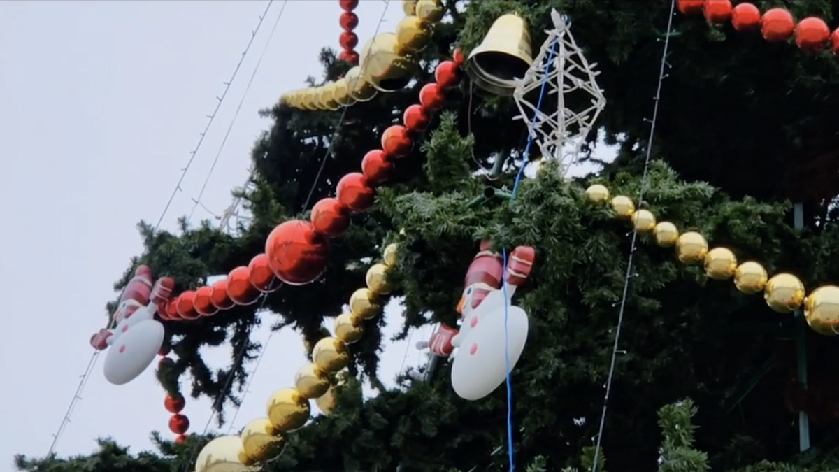    Фото: телеканал «Краснодар»