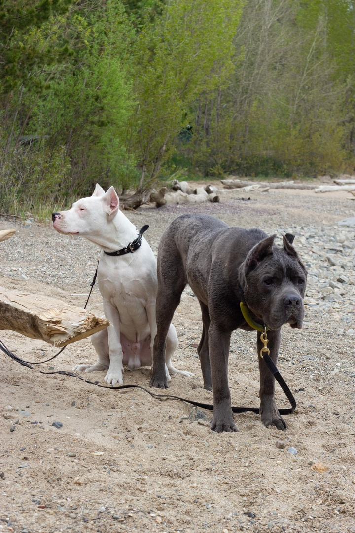 Фирин (9лет) и Джей (5 мес.)