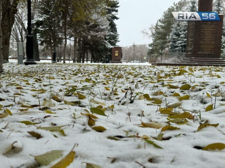    Зима, как осень. Декабрь в Оренбуржье начинается с пасмурной погоды с мокрым снегом Белов Михаил Александрович