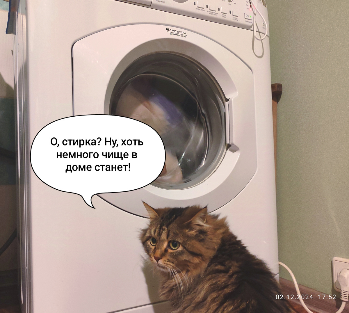 Масяня. Контролирует, как я домашнюю работу выполняю. Видно по ней, что плохо выполняю. Кошке не нравится