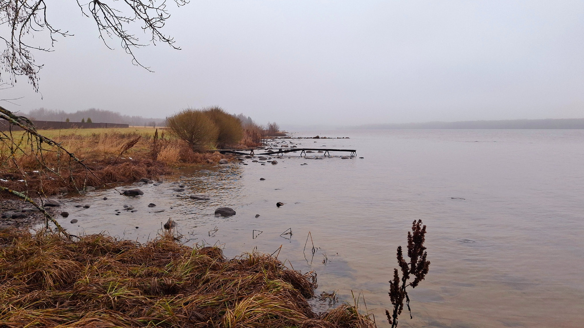 Река Шексна, Анисимово.