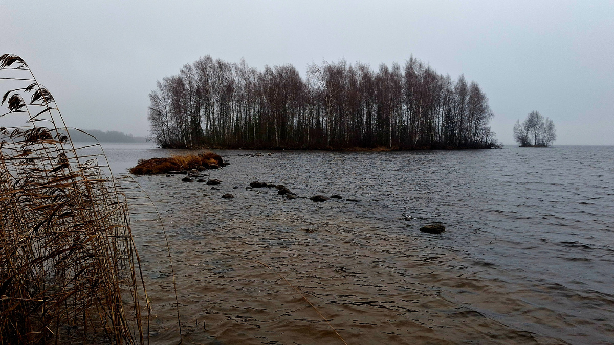 Река Шексна, Анисимово.