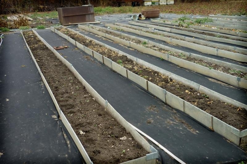 Геотекстиль помогает предотвратить оседание и деформацию грунта. https://neospan.ru/store/geotextil/dlya-dorozhek/neolandshaft-geo-150/