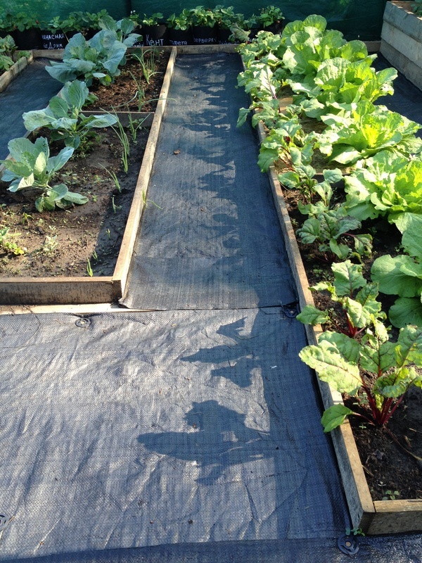 Для обустройства садовых дорожек, по которым будут ходить 3–4 человека, рекомендуется использовать термоскрепленный геотекстиль плотностью 100–200 г/м² (например, NeoЛандшафт GEO 100, NeoЛандшафт 130, NeoЛандшафт GEO 150