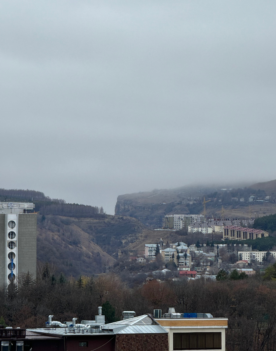 фото Сад в стиле Paradise ®