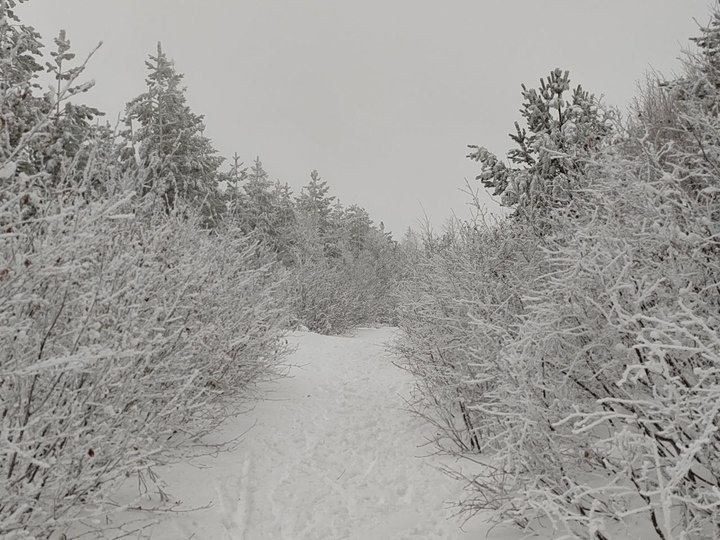   МК в Бурятии