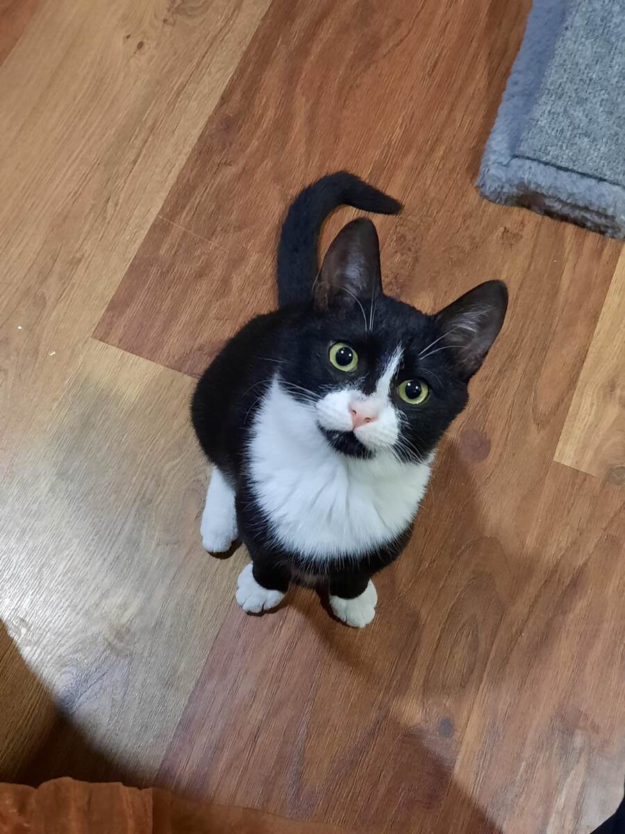 Случайный прохожий - заметь меня