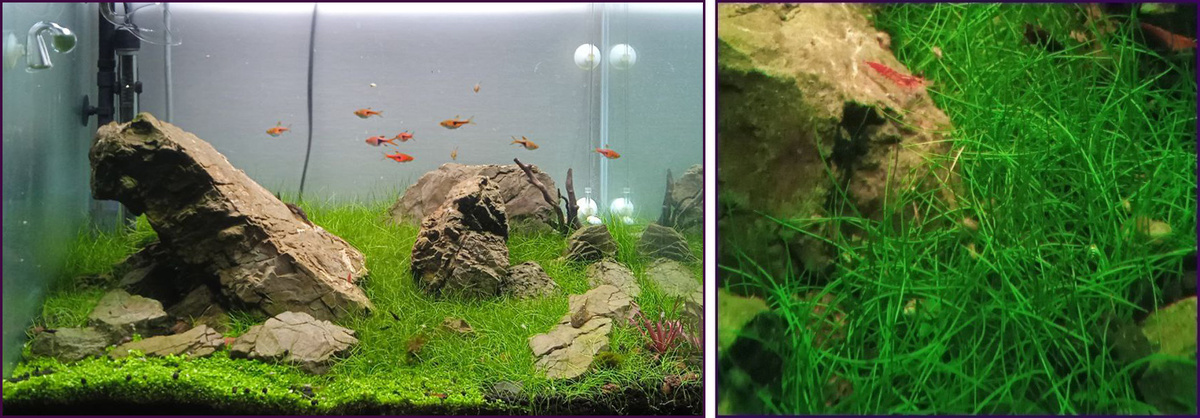 Фото: Александр Кравцов, г. Москва