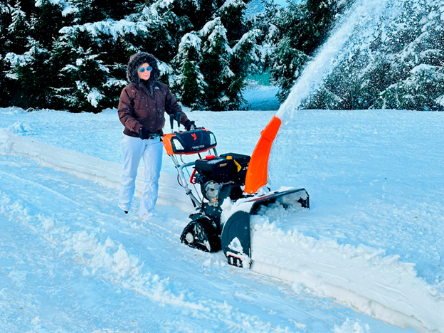 YARD FOX PRO 6654ET