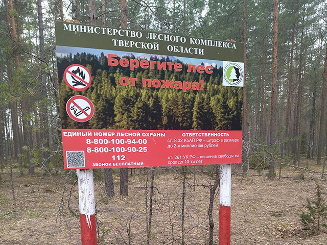 В лесах Тверской области идут противопожарные мероприятия