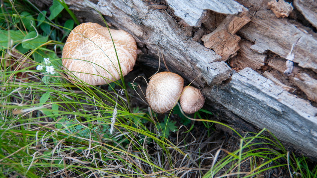    Svetlana Vozmilova/Globallookpress