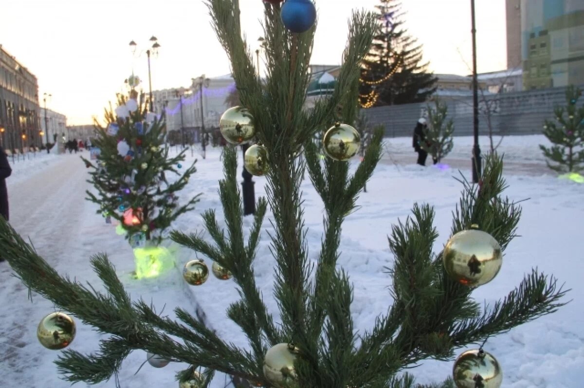    В Омске назвали дату открытия фестиваля «Зимний Любинский»