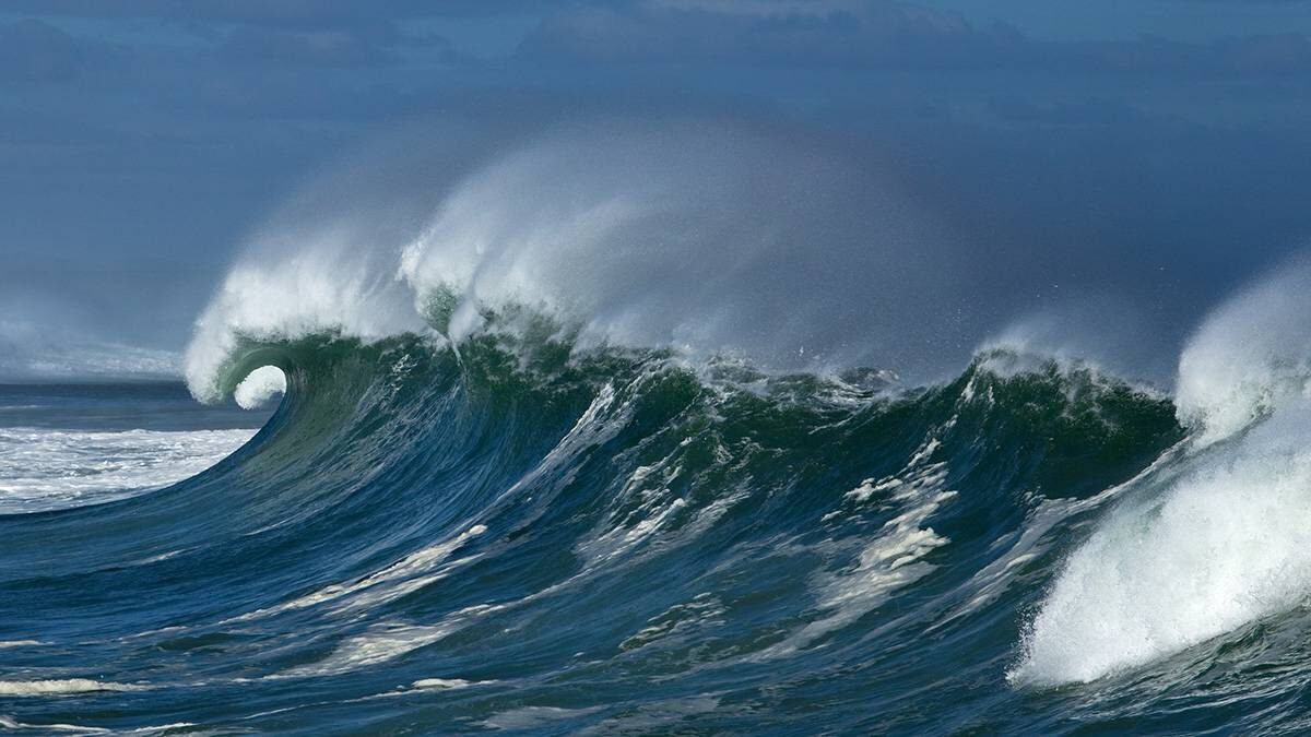    Фото: Shutterstock