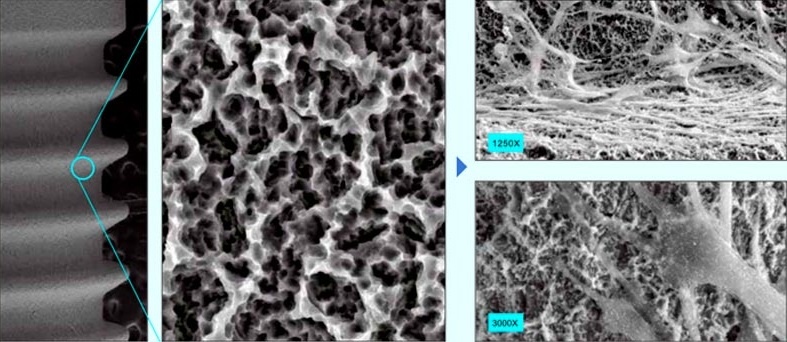 SLA — поверхность, срастание с костью на 7 день после установки
