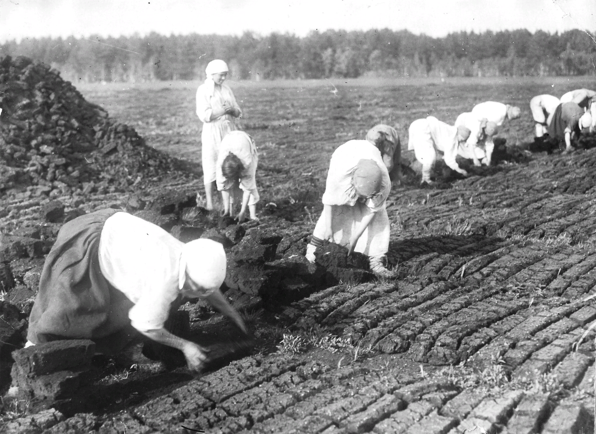 Женщины на работе