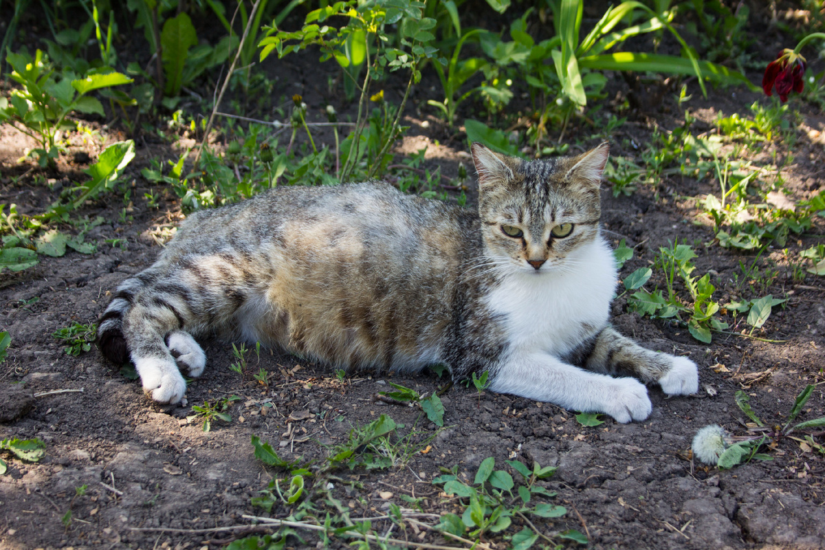 Фото автора. 