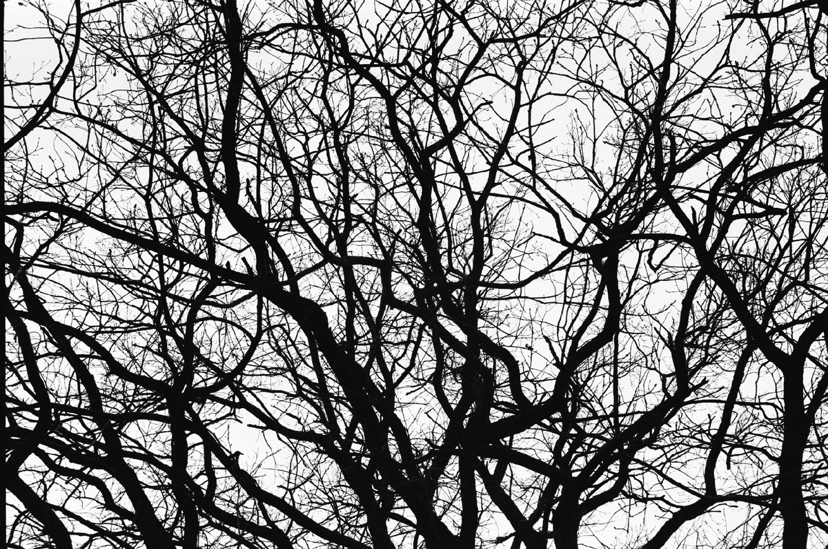 Фото Станислав Аникин