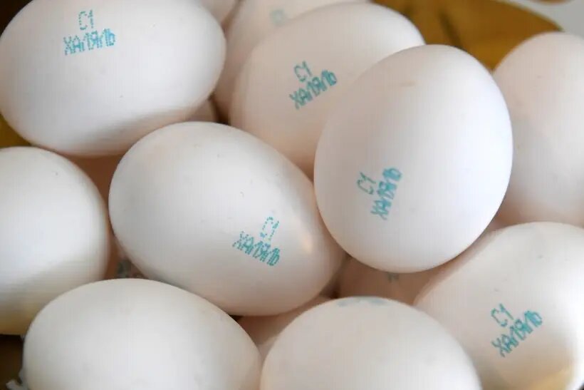  Термин "халяль" переводится с арабского языка как "дозволенный", "разрешенный" или "безопасный"   © РИА Новости. Максим Богодвид