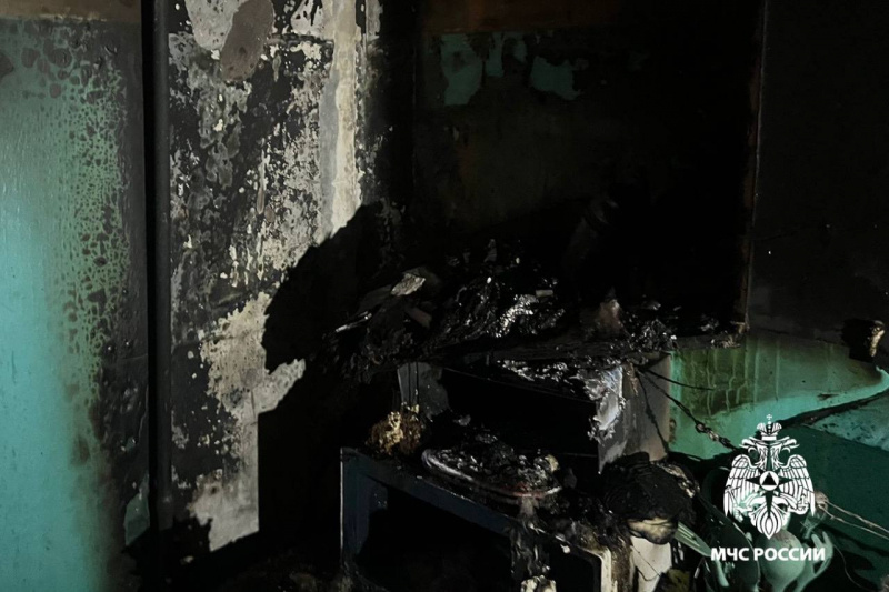   Появились фото из квартиры в Петрозаводске, где едва не сгорели ёжикиМЧС Карелии