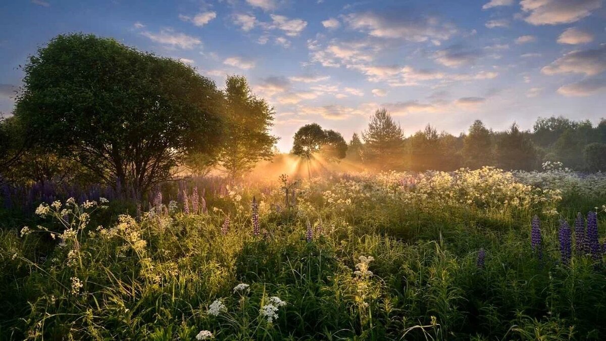 Из открытого доступа