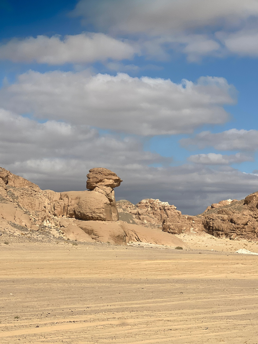 Прототип Сфинкса в пустыне. Экскурсии из Шарм Эль Шейх, номер телеграмм +201024136561