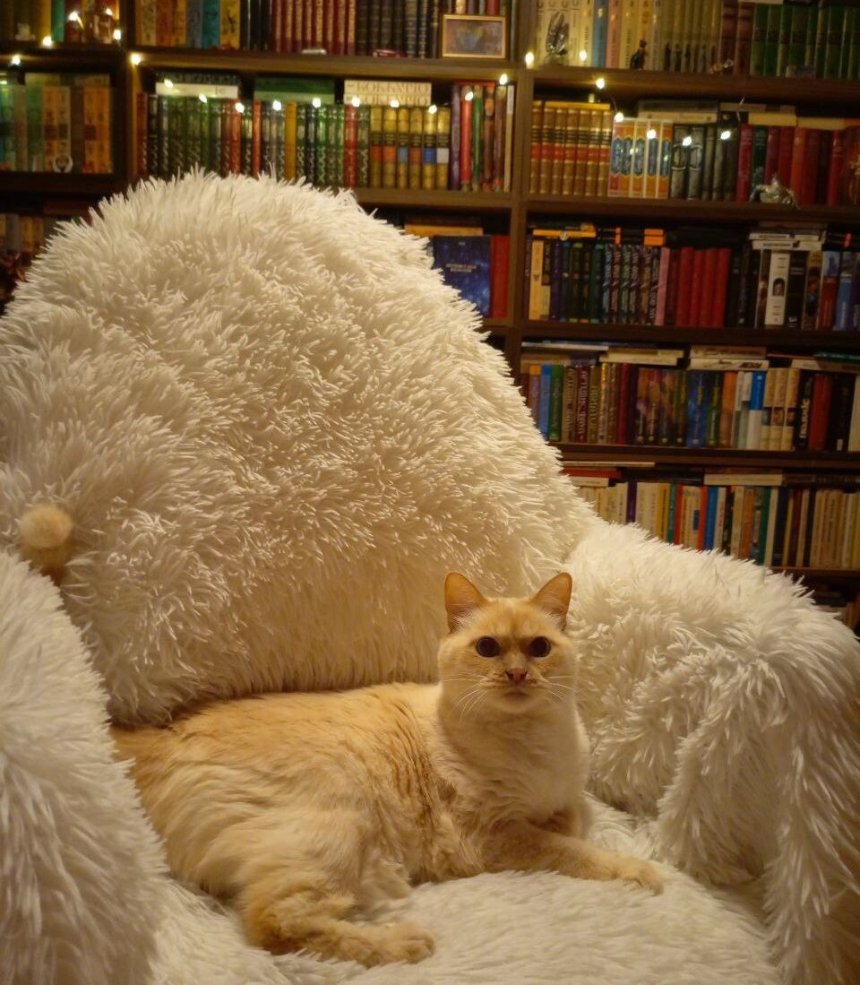 Это Соня. Она очень любит медитировать))