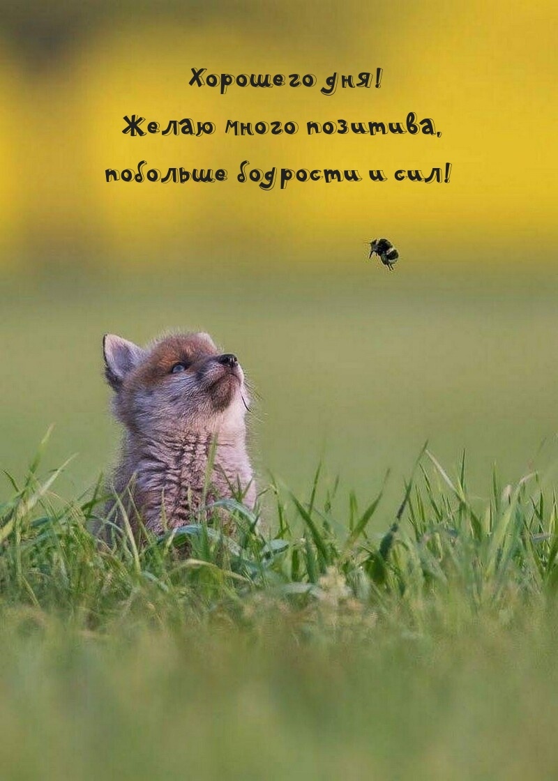 Фото из сети Интернет