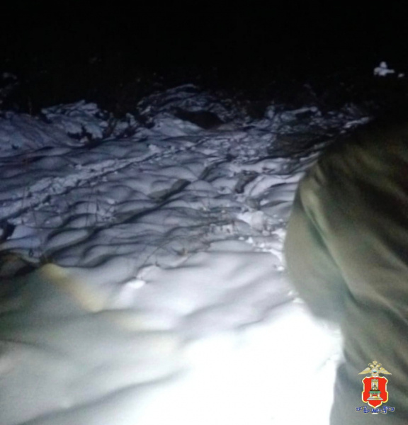 В Тверской области нашли браконьера, подстрелившего трехлетнюю лосиху