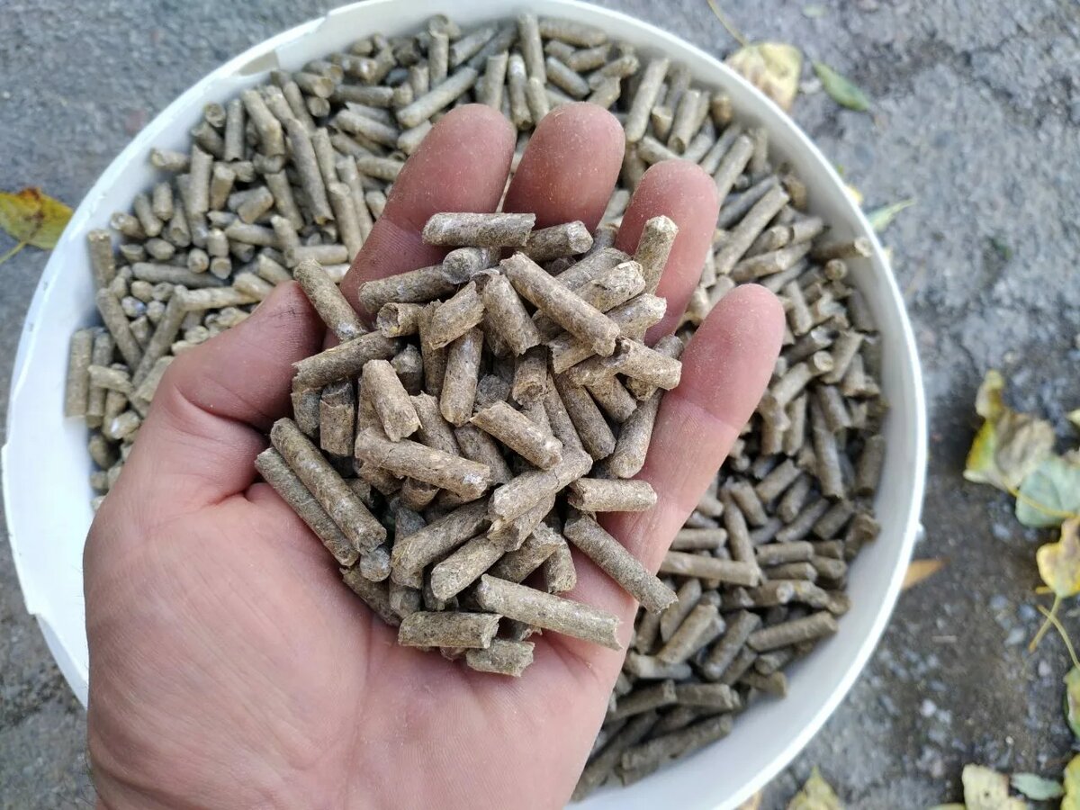 Источник: anodkatod.ru