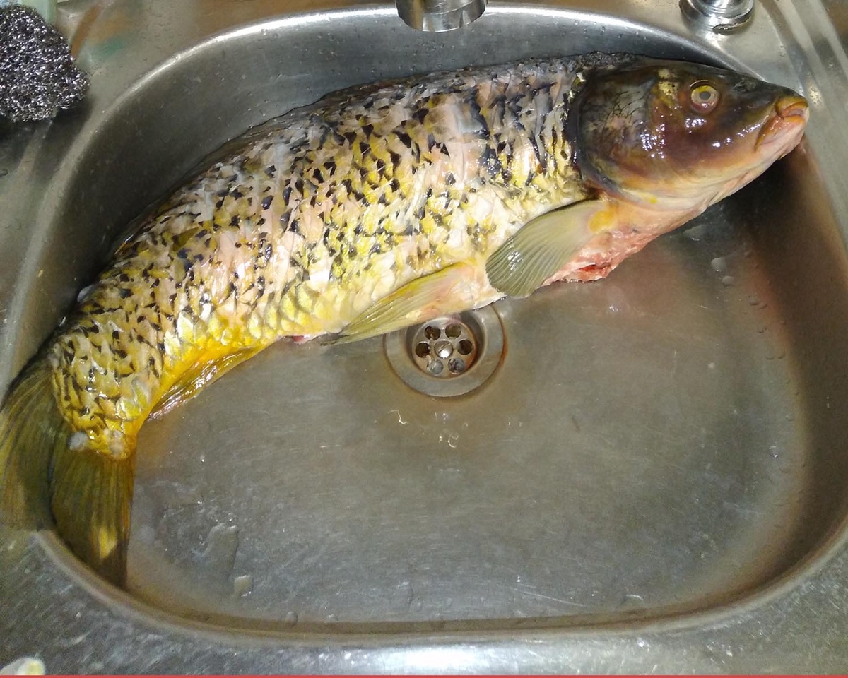 Чистим, если вам на рынке не почистили и промываем тщательно