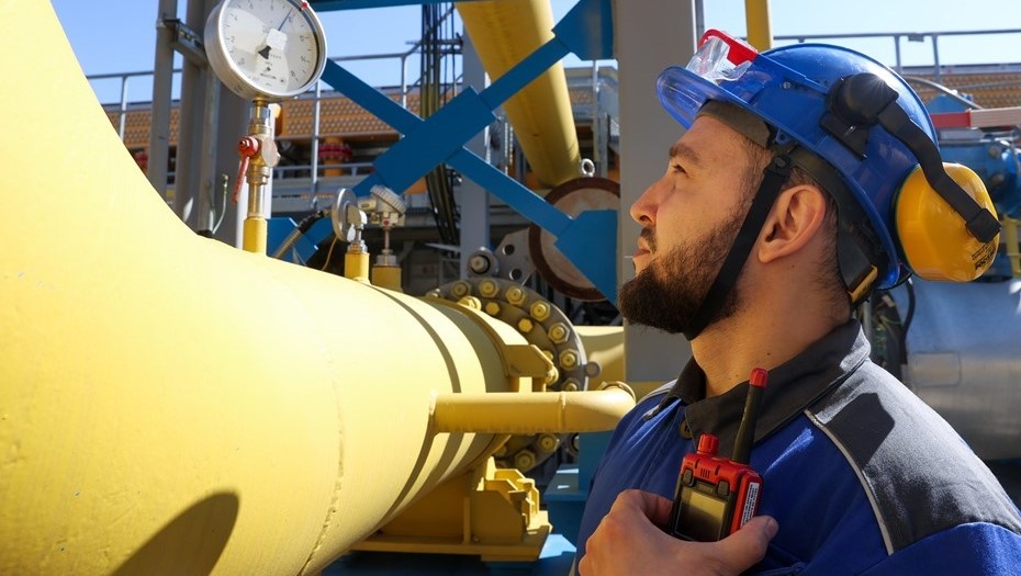    Автор фото: Кирилл Кухмарь/ТАСС