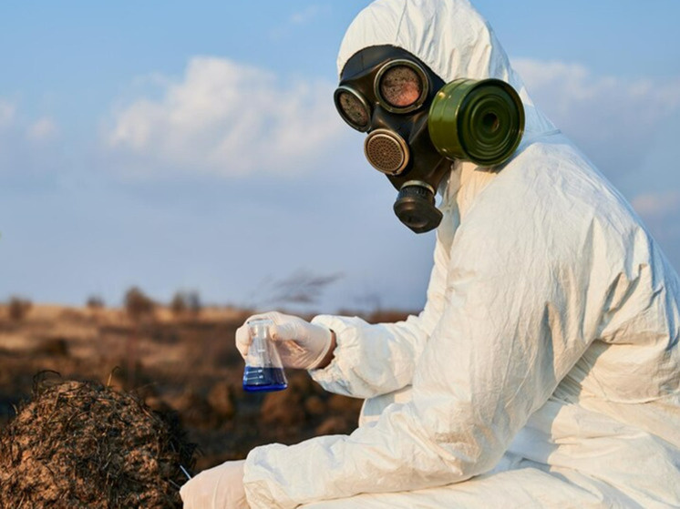 Фото: freepik.com