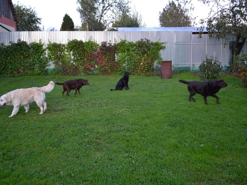 Фото взято из интернета