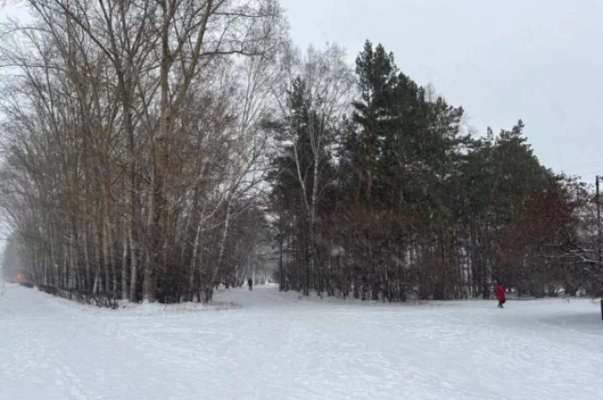    Мороз до 31 градуса будет в Чите 3 декабря