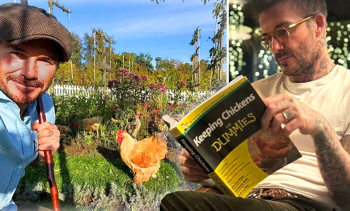 Коллаж автора на основе социальных сетей героев статьи