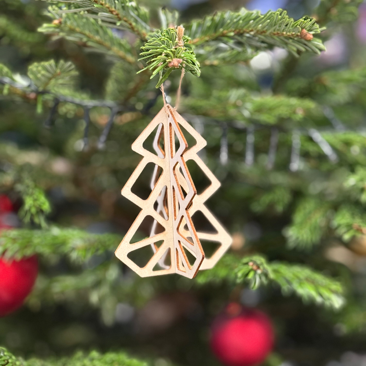 Фото от автора.Тамара Вибе.1.12.24.