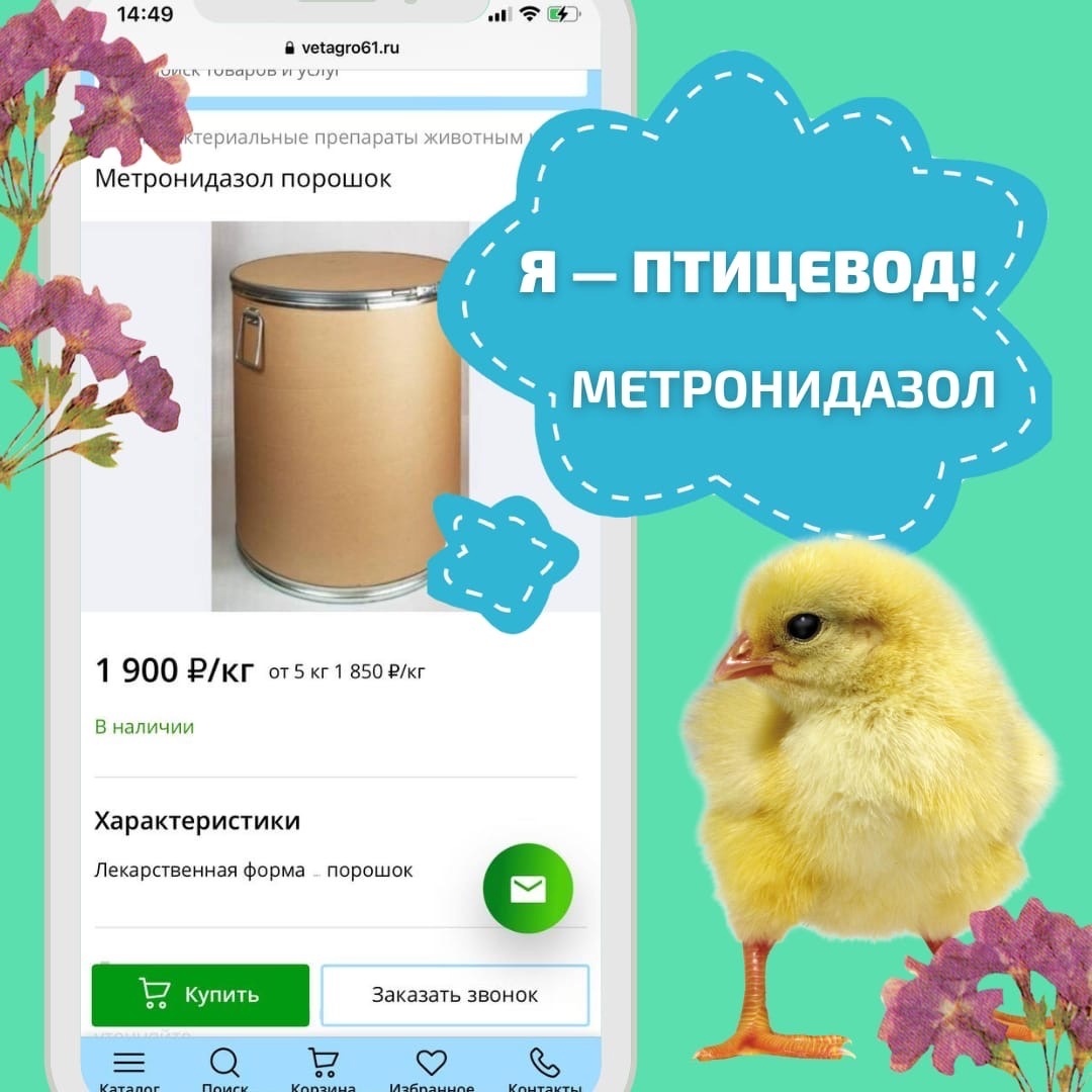 Лечение птиц метронидазолом