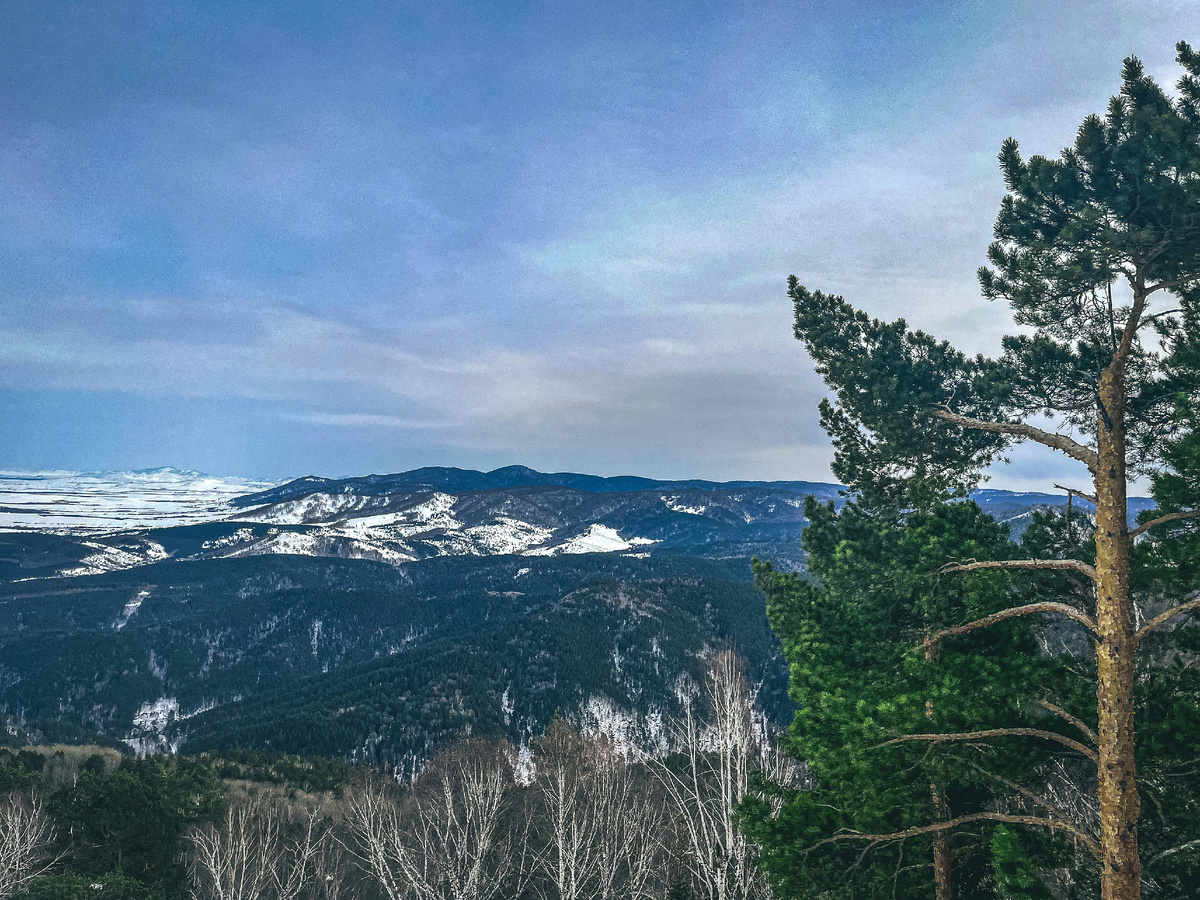 Вид на окрестности Белокурихи