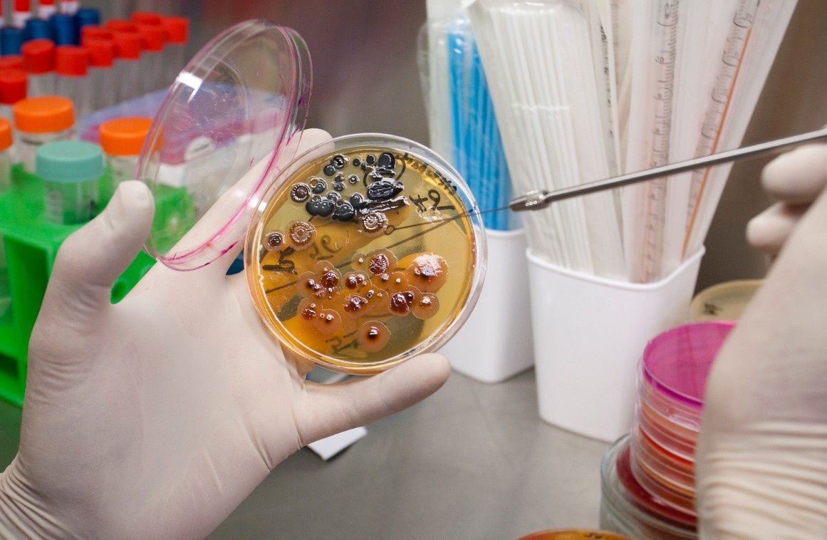 Профессия микробиолога требует глубоких практических навыков