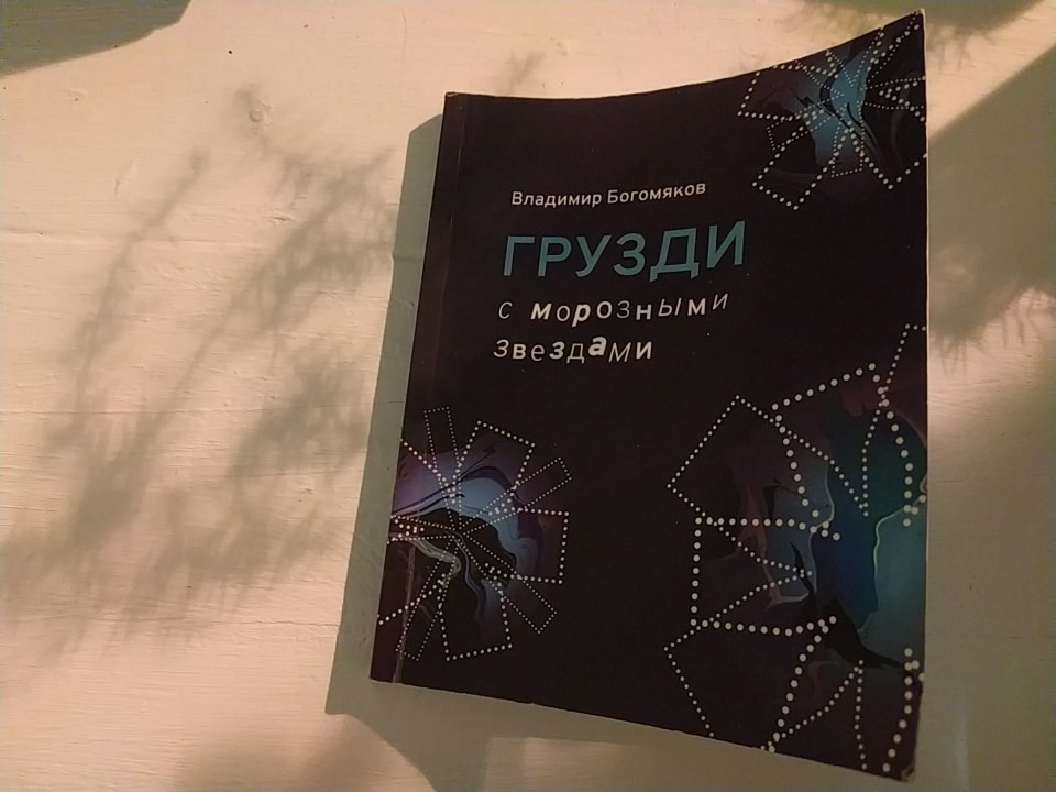 Владимир Богомяков. Стихи из книги «Грузди с морозными звёздами», 2023.